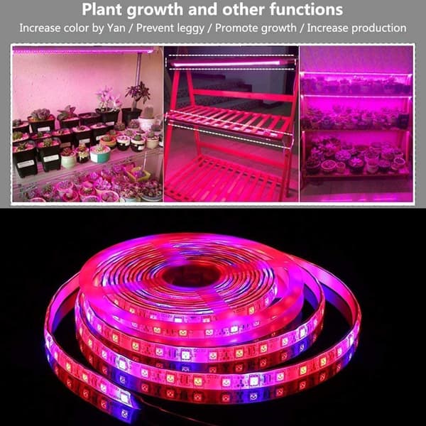 LED Plant Growth Light String 5050 SMD LED Lys Vandtæt Plantelys til Drivhus