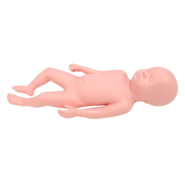 Nyfödd modell Plast Educational High Simulering Full Term Baby Simulator Modell för undervisning