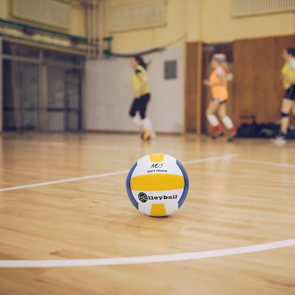 LEIJAIER PU Butyl Liner Maskinsömnad Standard mjuk anti-explosionsvolleyboll för träningstävling (blå)