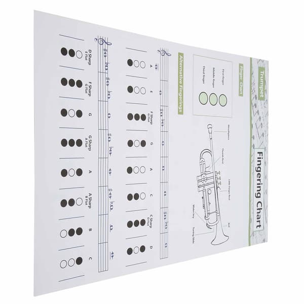 Trompet Akkorddiagram Fingersætning Note Musikinstrument Referenceguide til Hjemmeundervisning Stor