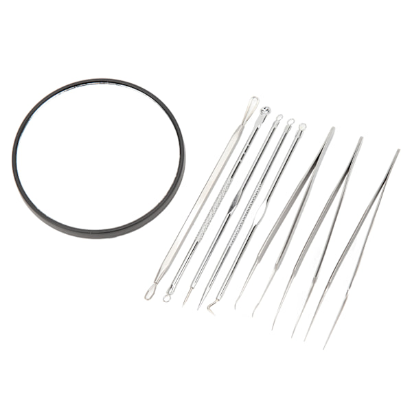 Finnar Nålar Set Svart 10X Förstoring Spegel Spisspets Pormaskar Remover Tools