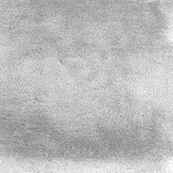 Suloinen makuuhuoneen matto Pehmeä karhu muotoinen pörröinen lattiamatto lapsille Teini-ikäisille tytöille Huoneen lattia Olohuone Valkoinen 45x60