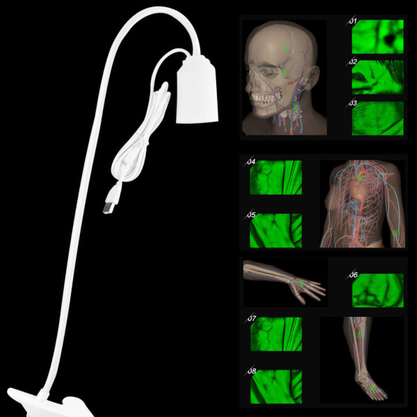 Vein Finder Vein Lights Imaging Viewer Display Machine aikuisille lapsille