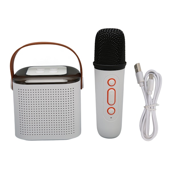 Karaoke-maskin Stereo RGB-lys Bærbar Bluetooth-høyttaler med 1 mikrofon for hjemmefest Hvit