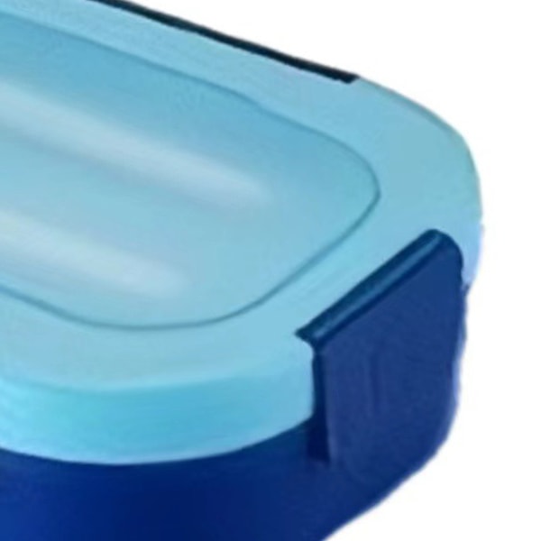 Barnens Bento-låda 4 fack läckagesäker BPA-fri bärbar barn lunchbehållare för pojkar flickor 1300ml