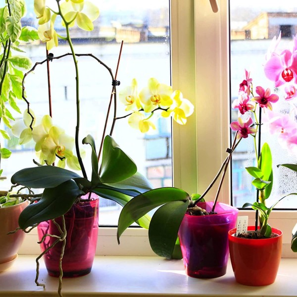100 Pack Orchid Style kasvien tukipidikkeet kiipeilykasveille, kukille ja paaluille - Muoviset puutarhatelineet orkideoille