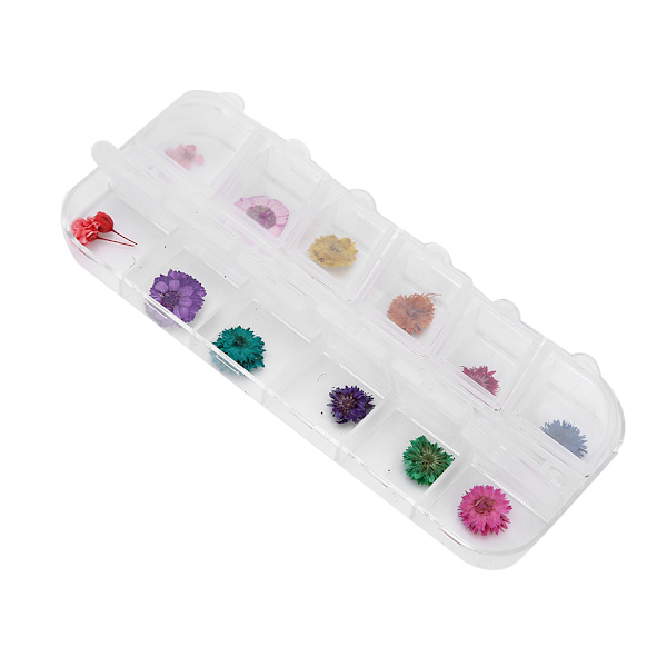 12 färger / låda torkade blommor nageldekoration DIY nagelkonst dekoration tillbehör D-stil