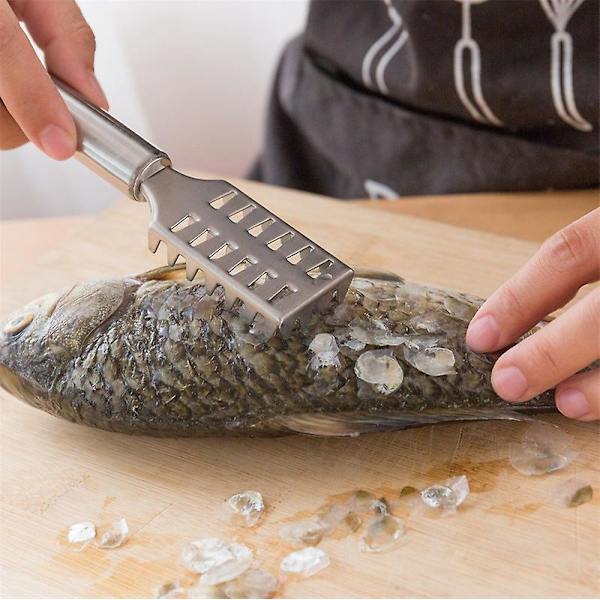 Fiskfjällskrapa i rostfritt stål