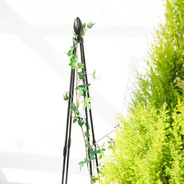 Hageobelisk Tårn Klatrevin Blomsterstativ Hage Vertikalt Blomstertårn