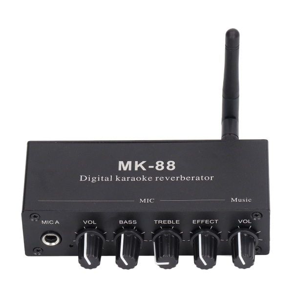 Digital Reverb Stereo Förstärkare Bluetooth 5.0 Dubbel Mikrofoningång DC 12V
