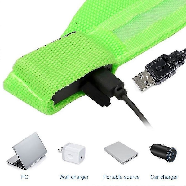 USB Uppladdningsbart LED Hundhalsband Blinkande Självlysande Säkerhets Natt Ljus L grön