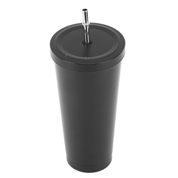 Rostfritt stål isolerad kafferesemugg 25oz 750ml mugg med sugrör lock för bil camping
