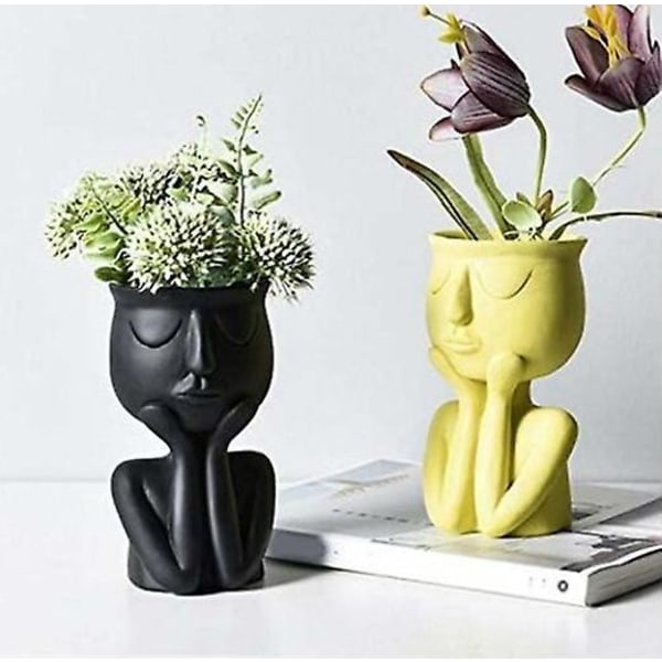 Nordisk stil sort ansigt blomsterpotte sukkulent planter