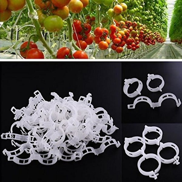 100-pack växtstödsklämmor för grönsaker, 0,9*2,5 diameter*7,5 cm tomater och klätterväxter - för vertikal och hälsosammare tillväxt