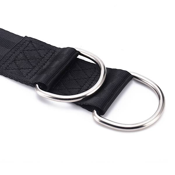 Hängmatta Hängstolsrem Högförstärkt Gunghängare Gunghängare Gungremmar Hängsats för utomhusbruk200 cm / 78,7 i Dual Ring
