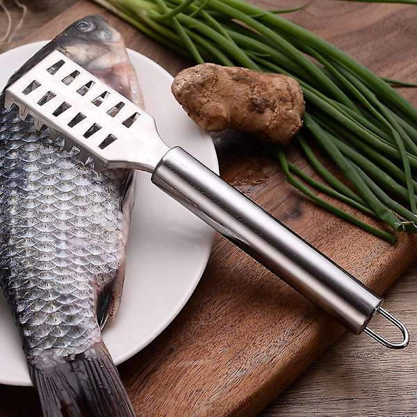 Fiskfjällskrapa i rostfritt stål