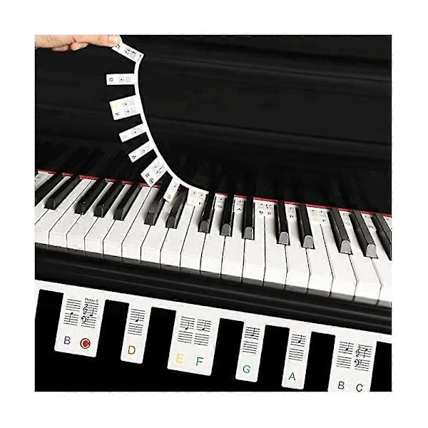 Avtagbar Pianoklaviatur Notetikett, 88 Tangenter Piano Notguide och Piano Tangentguide, (färg) Zekai