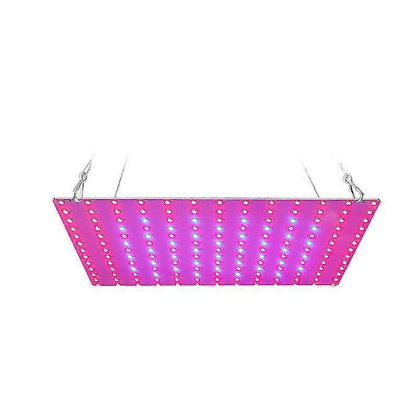 Täyden spektrin LED-kasvatusvalo hydroponiseen puna-siniselle kukkakasvilamppupaneelille L-EUPlug