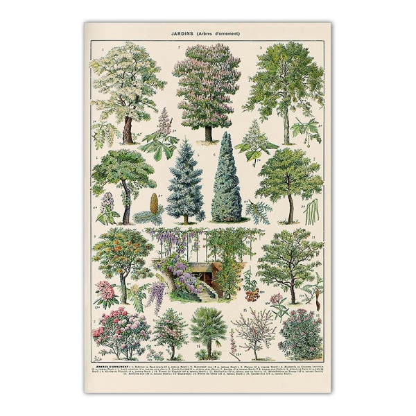 Vintage Trees print - 4 set 30 x 40 cm Vintage Tree -kuvia