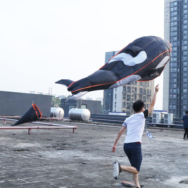 Utomhus Beach Garden Lekplats Tredimensionell Grampus form Flygande drake för barn Vuxen Svart