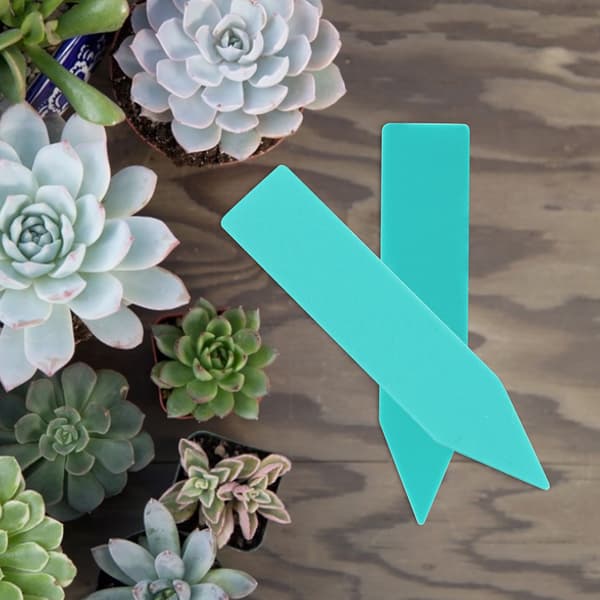 100 st plastblommor växtfrö namnskylt etikettmarkör