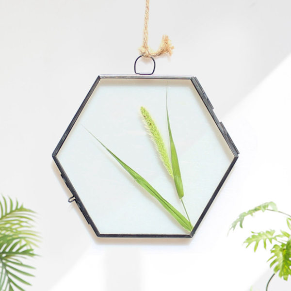 Hengende geometrisk sekskantet glassram tørket blomst planteprøve klippdisplay