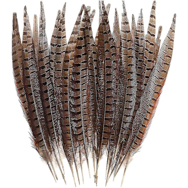 30 stk. naturlige fasanfjer, gør-det-selv fasanhalefjer, 15-28 cm blød indfødt fjer - B1