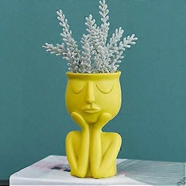 2025 Ny Kreativ Nordisk Blomkruka Vas för Suckulenter Abstrakt Blomkruka Ansikte Inomhus Blommor Gul Vas
