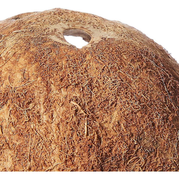 Naturligt kokoskrybdyr og padderhus - 13 x 6 cm