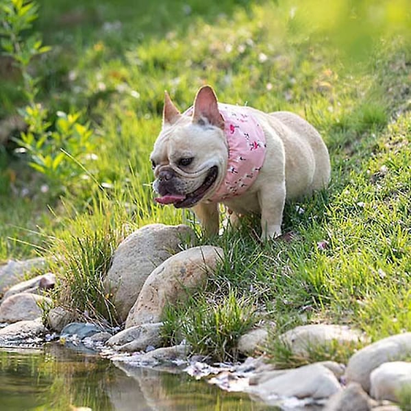 Kølende Halsbånd til Hunde - Justerbart Is-Køle-Halsklæde med Genanvendelige Isposer