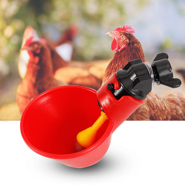 5kpl Chicken Bird -automaattiset juomalaitteet veden juomakupit, kulhot (kiinteä ruuvi)