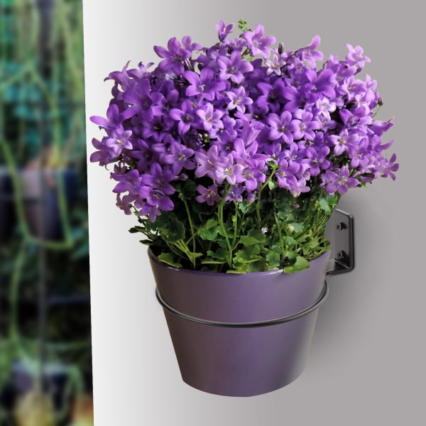 Foldbart vægmonteret blomsterpottestativ - 2,5-3 kg bæreevne, 6 tommer