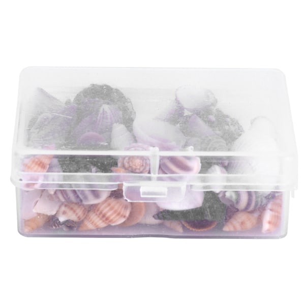 Korut Askartelu Tee-se-itse Shell Sea Snail Set Natural Seashell Conch Häät Kodinsisustus