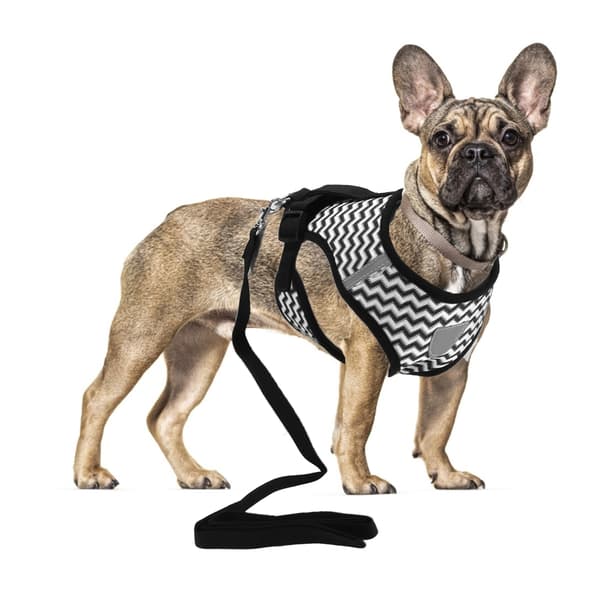 Reflekterende kæledyrssele til katte og små/mellemstore hunde LL