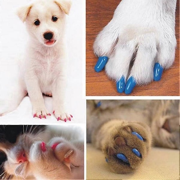 Nya färgglada katt-/hundnagelkapslar mjuka katt-/hundklor mjuka tassar 20 st/lot mjuka katt silikonnagelkapslar Storlek XS S M L Present till husdjur M Citrongul