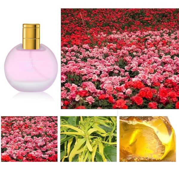 50ml Toilette Spray Langvarig Flower Duft Frosted Bottle Body Parfyme for Women Rose