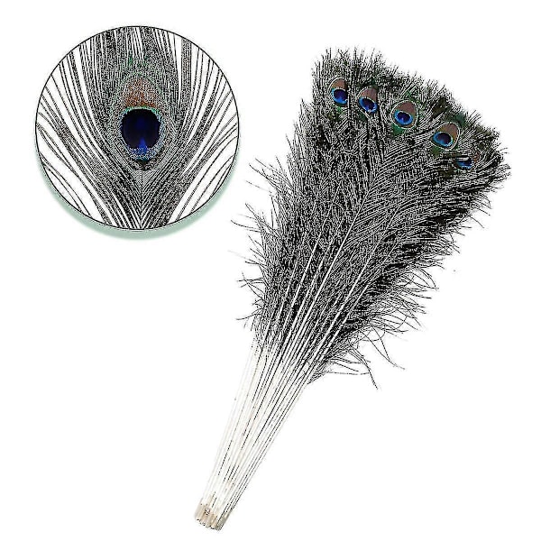Naturlige Store Påfuglefjer til Dekoration 50 stk. x L(40-50CM)