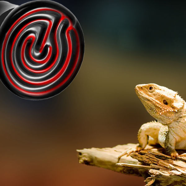 Infrapunakeraaminen lemmikkilämpölamppu - 100 W Reptile-lamppu 100W