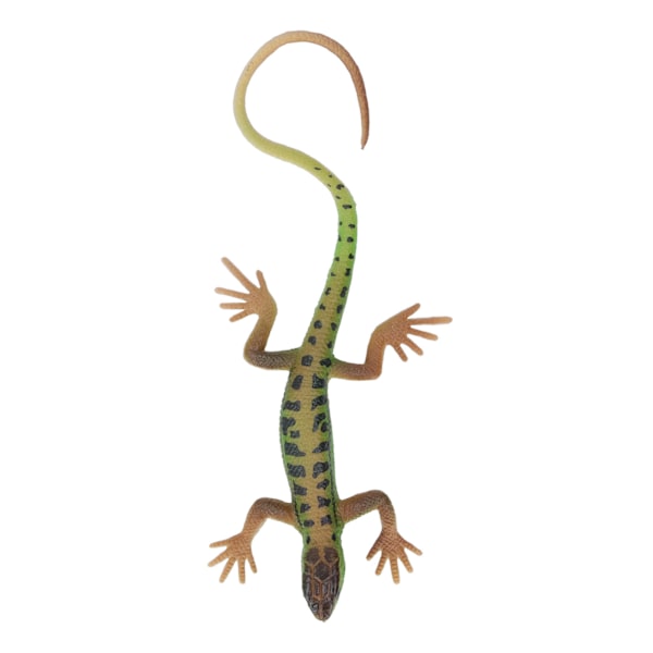 Ödlor Figur Leksak Simulering Säker Målning Barn Present Reptil Modell Dekoration för Sovrum Studie Samling PL127 1511