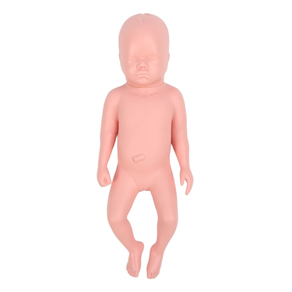 Newborn Model Plastic Educational High Simulation Full Term Baby Simulator Model Til Undervisning