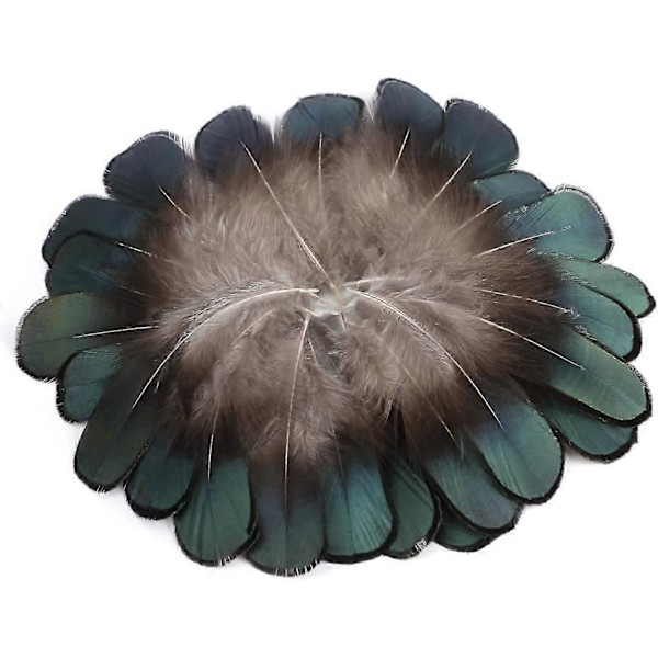 50 stk. naturlige fjer, fasanfjer til smykkefremstilling, hattepynt, show hobbykunst (5-8 cm)
