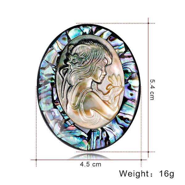 Naturlig Abalone Shell fantastisk hodebrosjesamling