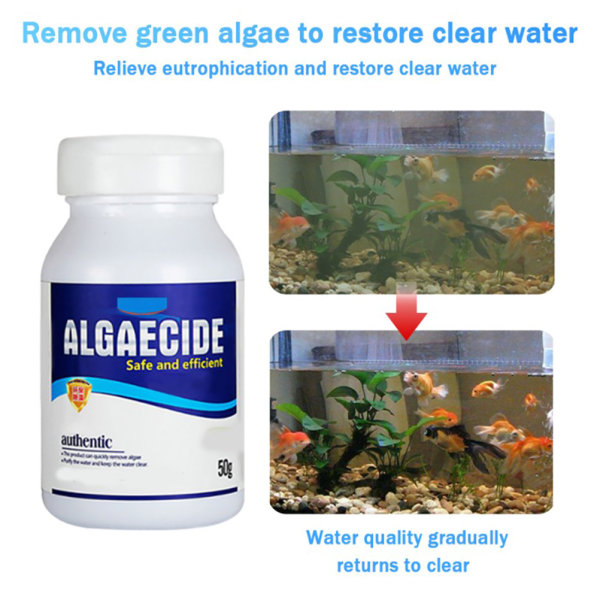 Freshwater Aquarium Algaecin Water Clarifier Økovenlig akvarierens