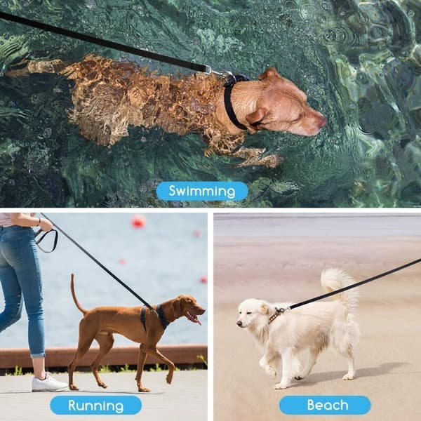 15m lang hundesnor, hundetræningssnor til små til store hunde