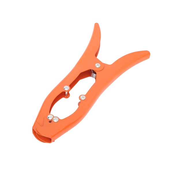 Grip Anchor i rustfrit stål med tænder - Klampe til kajak og kano