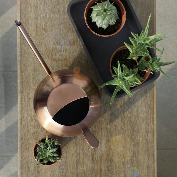 1000 ml vandkande i rustfrit stål med lang tud til haveblomster og planter, bronze