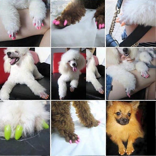 Nya färgglada katt-/hundnagelkapslar mjuka katt-/hundklor mjuka tassar 20 st/lot mjuka katt silikonnagelkapslar Storlek XS S M L Present till husdjur M Citrongul