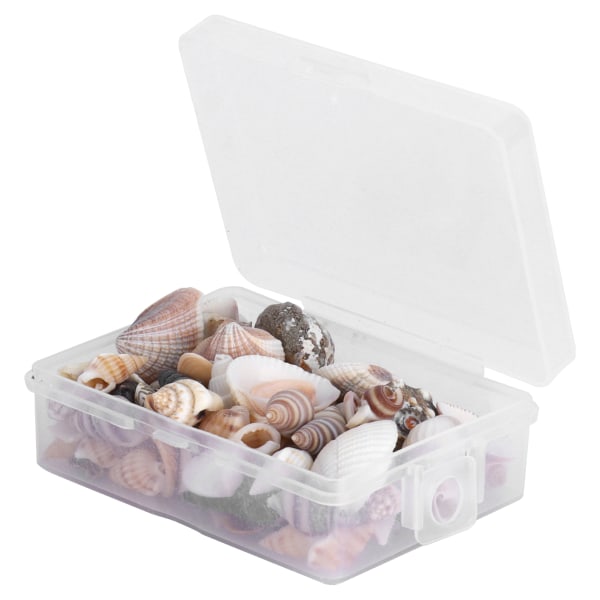 Korut Askartelu Tee-se-itse Shell Sea Snail Set Natural Seashell Conch Häät Kodinsisustus