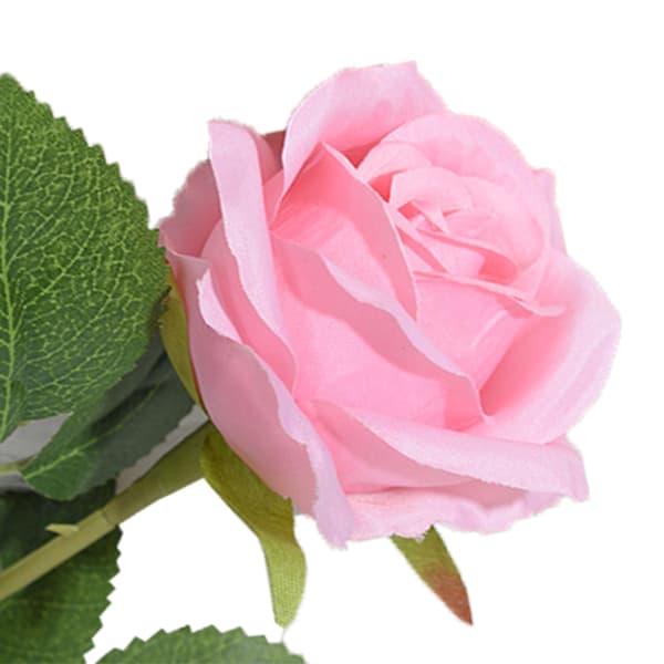 Simulerte silkeblomster roser Hjem Stue Simuleringsblomster Dekorative ornamenter Kunstige enkelt silkeblomster roser Rosa
