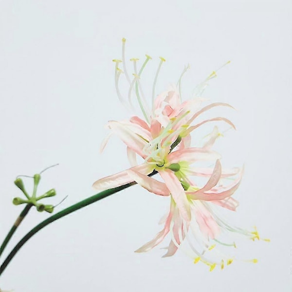 5 stk. Spider Lily Kunstig Sten Hvidløg Løg Lang Stilk Real Touch Hjemmekontor Hotel Stue Dekoration - B17 Pink